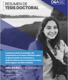 Disponible nuevo resumen de tesis doctoral: Ana María Leiva Venturelli